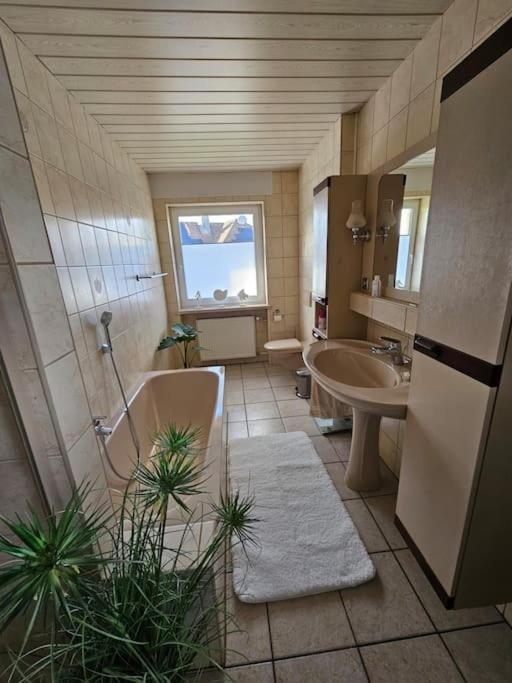 Ferienhaus Distelfink Entspannen In Der Mitte Von Deutschland Gudensberg Exteriör bild
